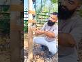 bushcraft survival skill water purifier #outdoors #campping #bushcraft