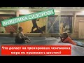 Анжелика Сидорова. Пришёл на тренировку к чемпионке мира, чуть не повесился на шесте