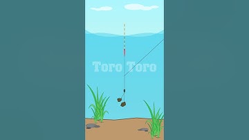 Cách Cân Phao Câu Đài - Cân 7 Câu 3 Đơn Giản