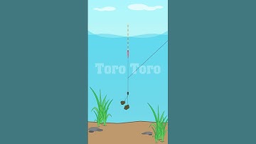 Cách Cân Phao Câu Đài - Cân 7 Câu 3 Đơn Giản