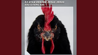 Download Lagu Dj Ayam Reborn Jedag Jedug Download Lagu Dj Ayam Reborn Jedag Jedug