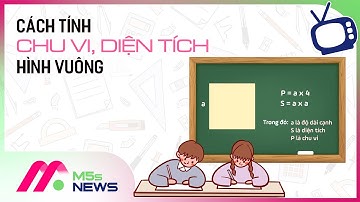 Cách tính chu vi, diện tích hình vuông cực chi tiết (có bài tập) | Protected By DMCA.com