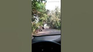 Story WA Lagu SUNSET'And I Hope '