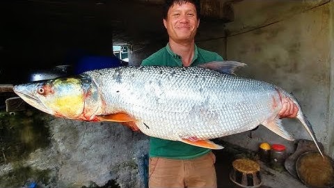 CÁ SÔNG ĐÀ GÁC BẾP