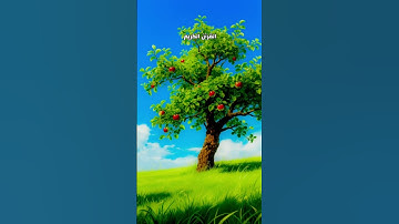 القرآن الكريم القارئ محمد الفقيه #اكسبلور #القرآن_الكريم #لايك #راحة_نفسية