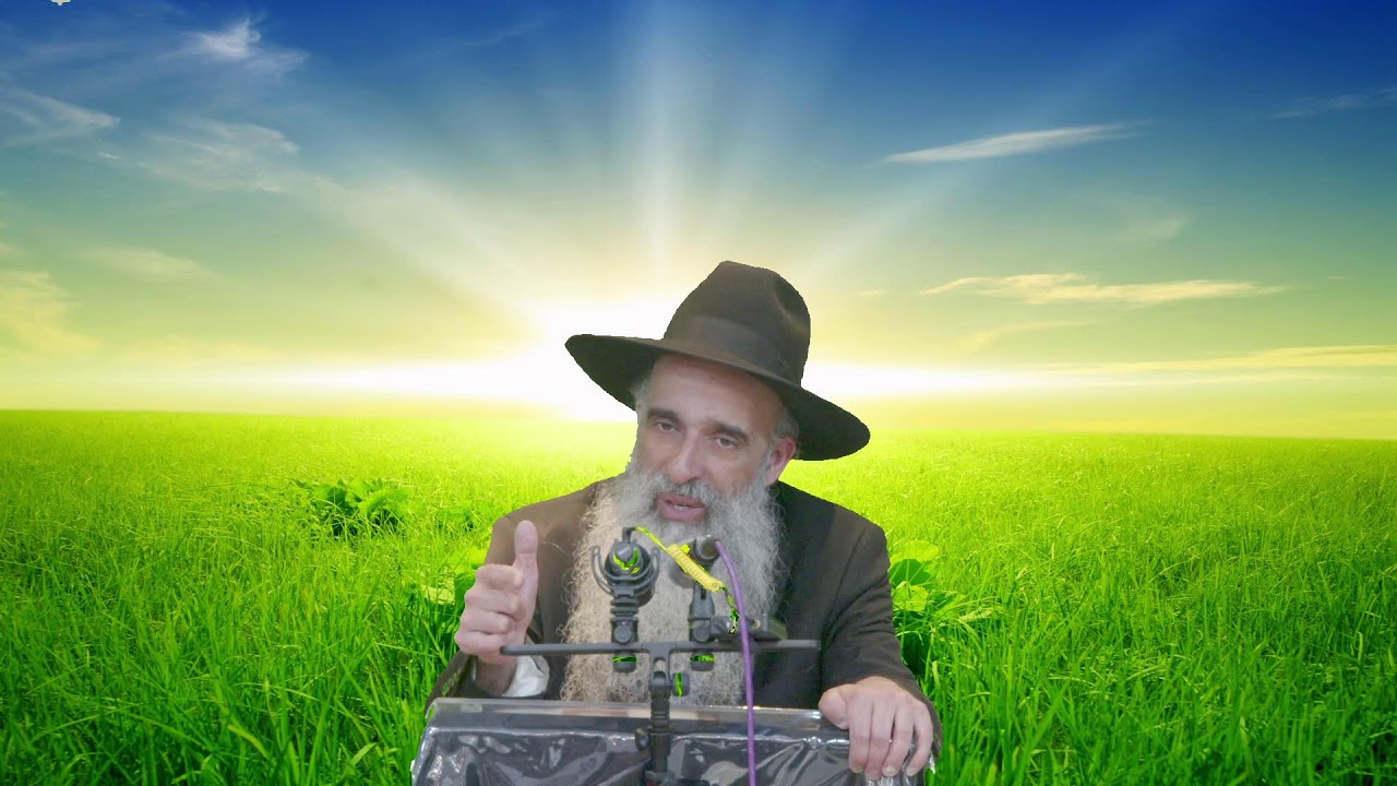 שיחתו של מו"ר ראש הישיבה הרב מאיר דוד שמואלי שליט"א בנושא : ואע"פ שיתמהמה אם כל זה אחכה לו!