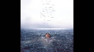 Celebrity Shawn Mendes - Teach Me How To Love (Clean Acapella / Audio) Wealth