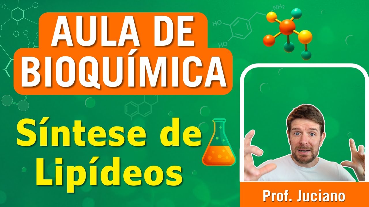 Síntese de Lipídeos - Aula para Ensino Superior