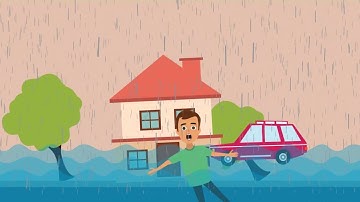 Disability Inclusive Disaster Risk Reduction - Social Cause Video