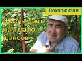 Жизнь дает нам мало шансов