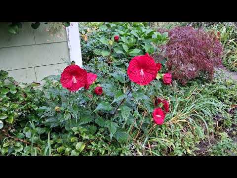 The Astrology of September 21, 2026: Perfect problem solving weather...
