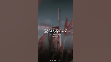 تلاوة هادئة "ناصر القطامي"
