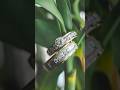 So nice we do it twice … #weddingphotography #weddinginspiration #weddingvibes #quicklook