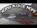 Русская рыбалка 4 🌎Еще чуть и 75%)))🐠Розыгрыш бутылки самогона картофельного каждые 15 минут🔥