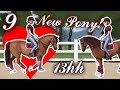 I got a NEW PONY!! |'Equestrian the Game' Gameplay! |Ep.9