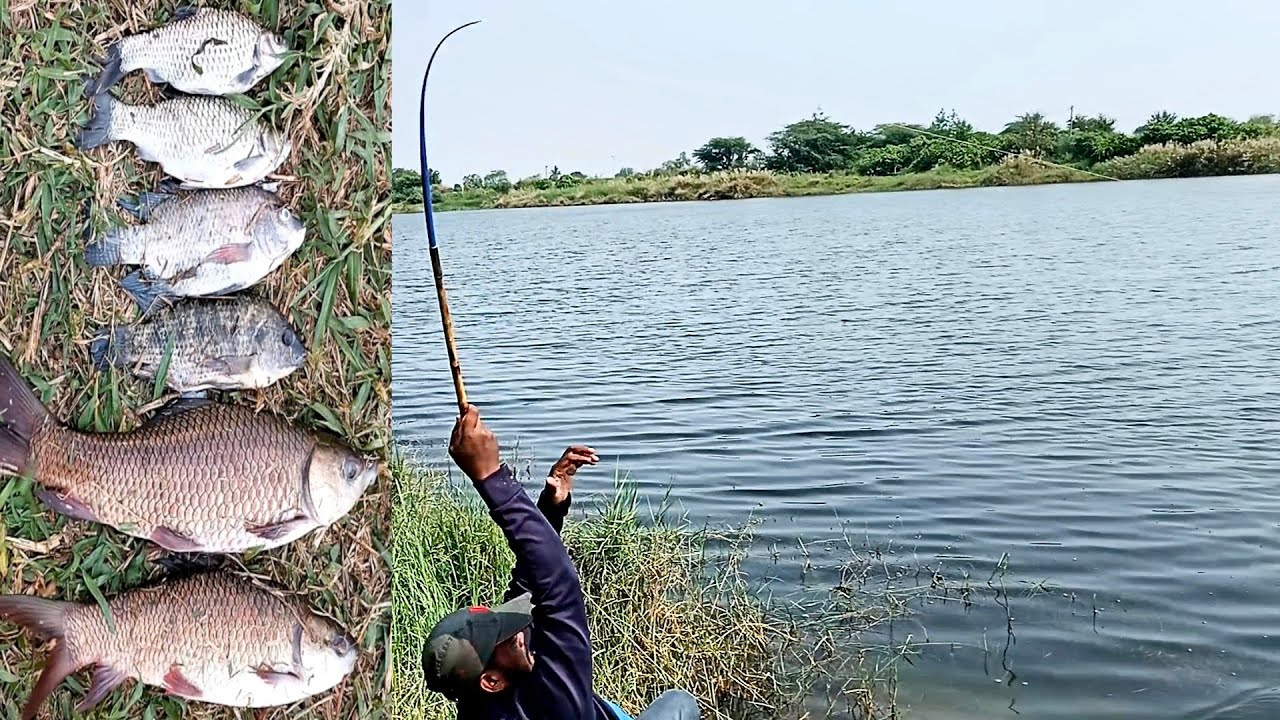 Amaging Fish Catching Rohu Fish catching River Fishing video Telangana fishing🎣