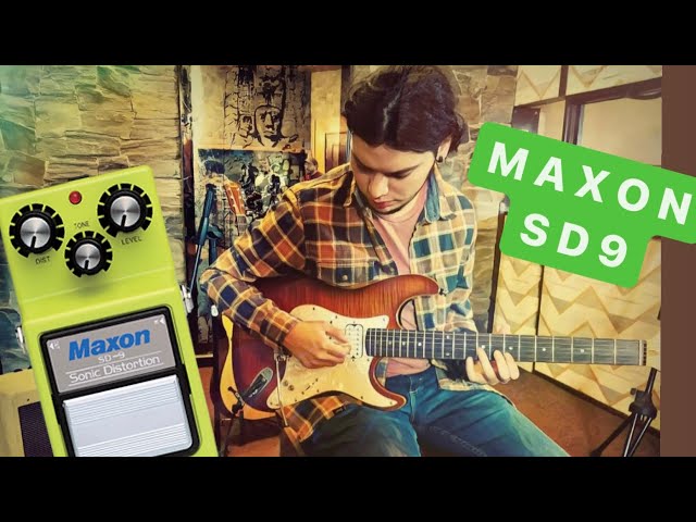 Maxon SD-9 Black Label 1980's Sound Review 【Magical Box