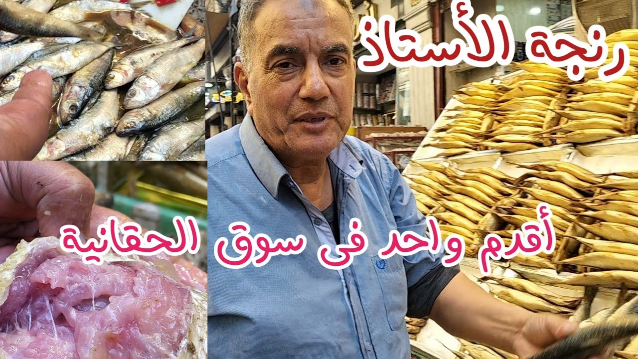 جولة فى سوق الحقانية المنشية أسكندرية وأسعار الفسيخ والرنجة