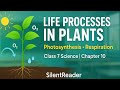 Class 7 Science Chapter 10 | Life Processes in Plants | Photosynthesis &amp; Respiration 