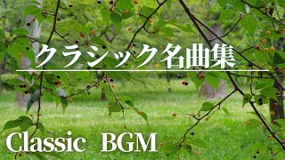 【名曲クラシック】聴いたことのある、冬に聴きたい、クリスマスに聴きたい、穏やかな気分になるクラシック名曲集  作業用BGM   Classic BGM