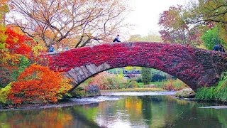 Fall in Central Park, New York, full ᴴᴰ █▬█ █ ▀█▀