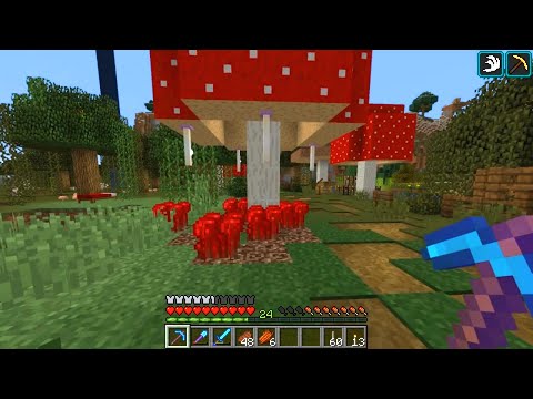 Etho Plays Minecraft - Episode 428: Lakeside Cabin