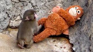 Punch Drops Mama and Leaves Her... Until He Gets Scared