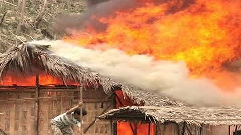 Online I Tuần 21 : TIẾNG RAO ĐÊM I video  mk.h.learneasy