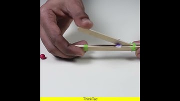 Orders of Lever Model | ThinkTac | #YoutubeShorts #Shorts #DIY #DIYScience