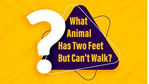 What animal has 2.feet but cant walk