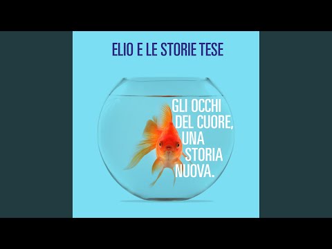 Gli occhi del cuore, una storia nuova