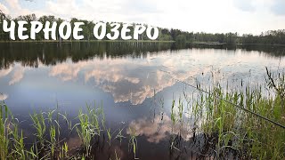 Шашлык и рыбалка на Черном озере. Покров - Владимирская область (2020)