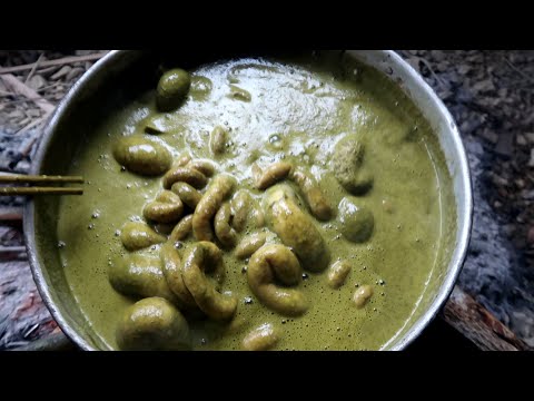 Video: Wat eten potdarmen?