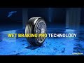 Goodyear eagle f1 asymmetric 6  wet performance