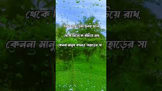 সর্বদা ছোট ছোট গুনাহ গুলো থেকে নিজেকে বাঁচিয়ে রাখ,—হযরত আলী (রাঃ)