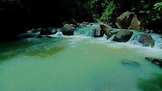 Brainwave River Sleep: Natural Sounds for Rest