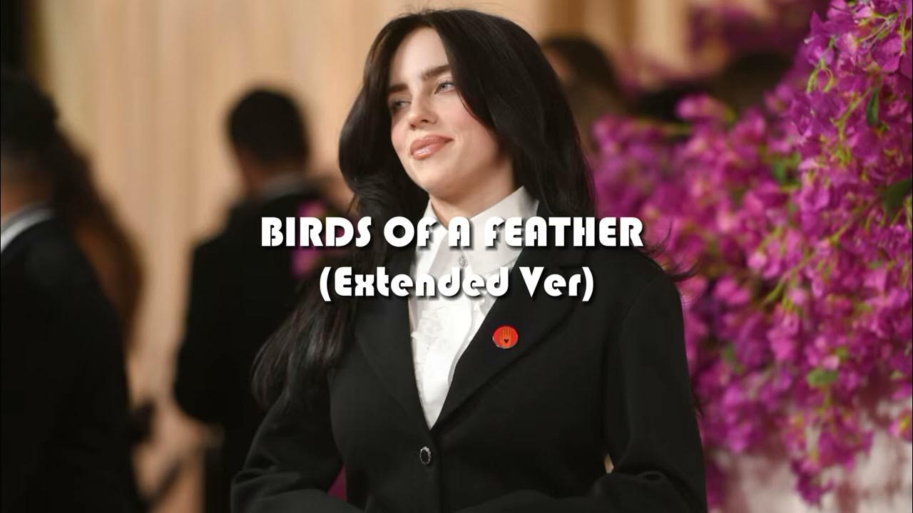 Birds Of A Feather Mp3 Download