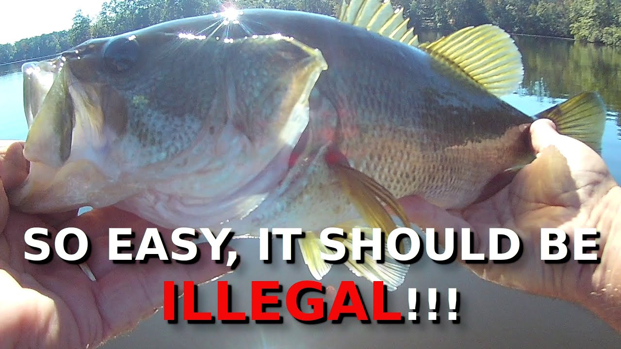 The EASIEST Way To Catch TONS Of BIG November Bass!!!