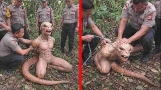 Terrifying Creatures Begun To Emerge In Indonesia, Scientists Can't Explain Them!