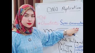 DNA replication شرح بالعربي