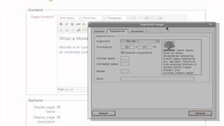 Learn Moodle 2.0: Insert an Image with the WYSIWYG Editor