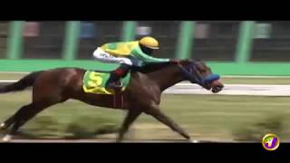 TVJ Prime Time Sports Headlines - FEB 23 2019
