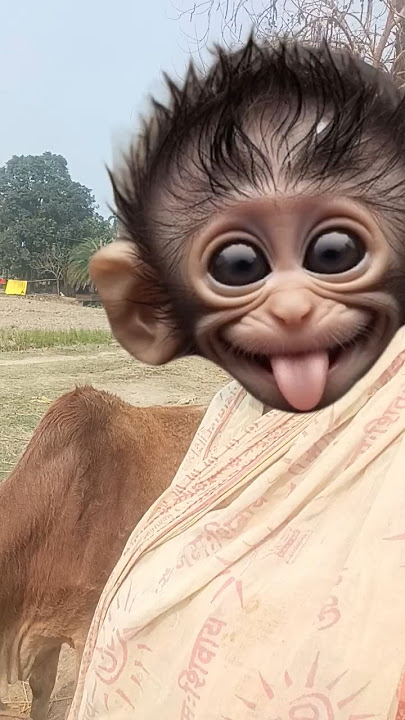 mawa😂😂✨#trendingshorts #funny #vairalvideo 😁😁😁😁😁🙏🙏🙏🙏👍👍