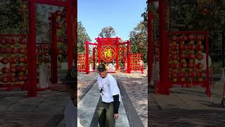 skateboarding happychinesenewyear2026 shorts  fyp