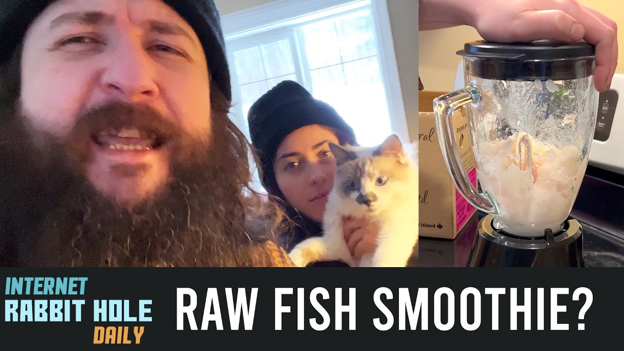 we ran out of cat food so Sean improvised... irh daily vlog YouTube