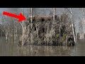 10 Strangest Discoveries Found Hidden In The Woods!