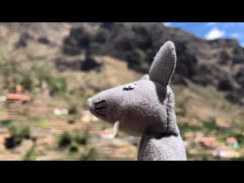 Wandern auf La Gomera 2019 - YouTube