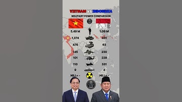 Vietnam vs Indonesia Military Power 2025