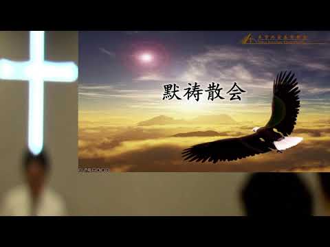 别看错了