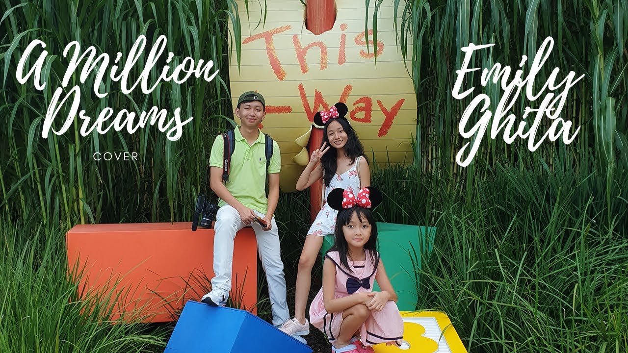 A Million Dreams - The Greatest Showman Cover by Emily Ghita